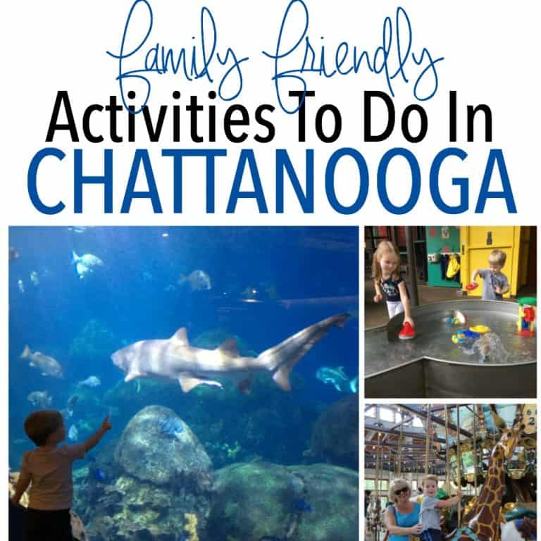 Family Friendly Activities To Do in Chattanooga