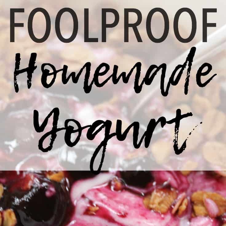 Easy Homemade Yogurt — THE TABLE UNDERGROUND