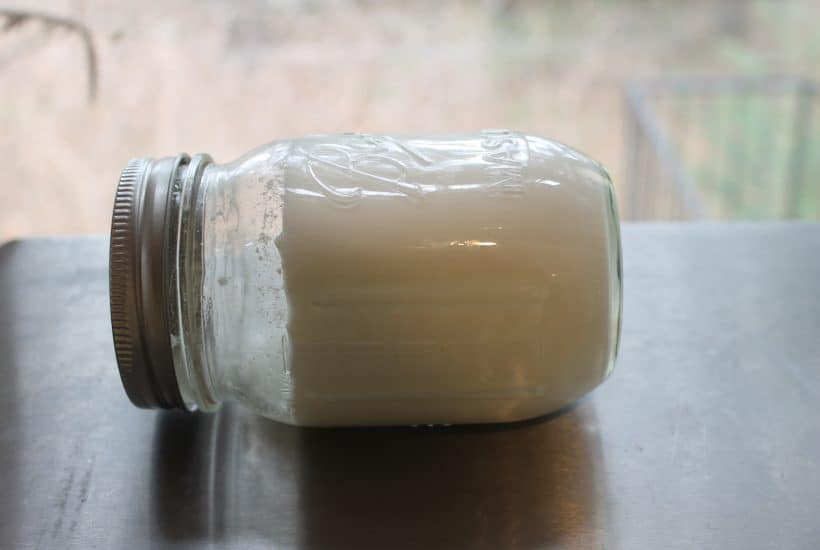 How To Make The Easiest Foolproof Homemade Yogurt