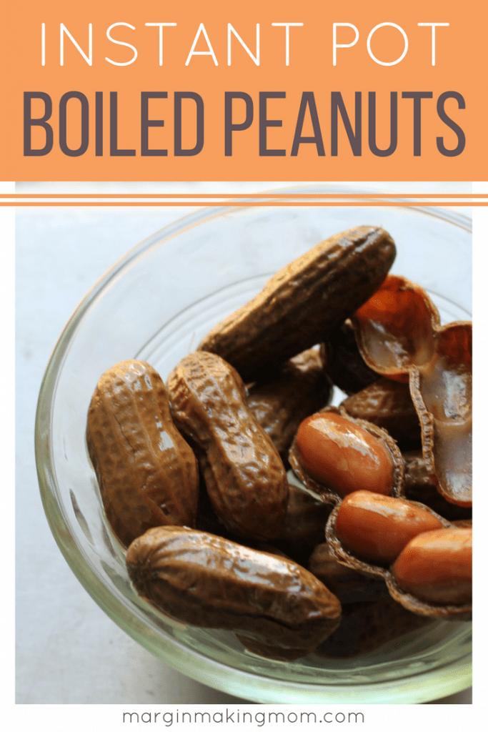 How to Make Instant Pot Boiled Peanuts - Margin Making Mom
