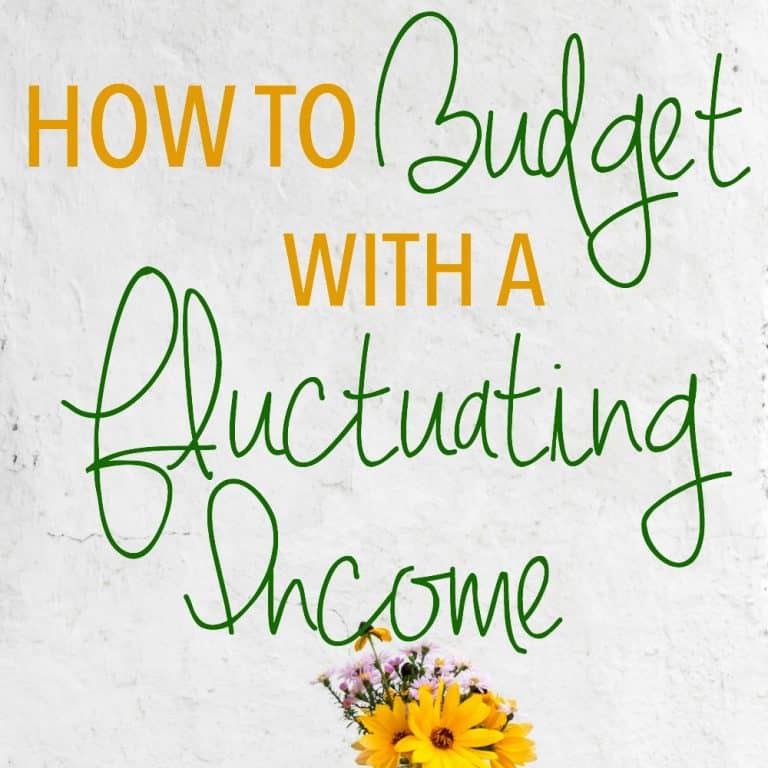 Monthly Budget | Irregular Income