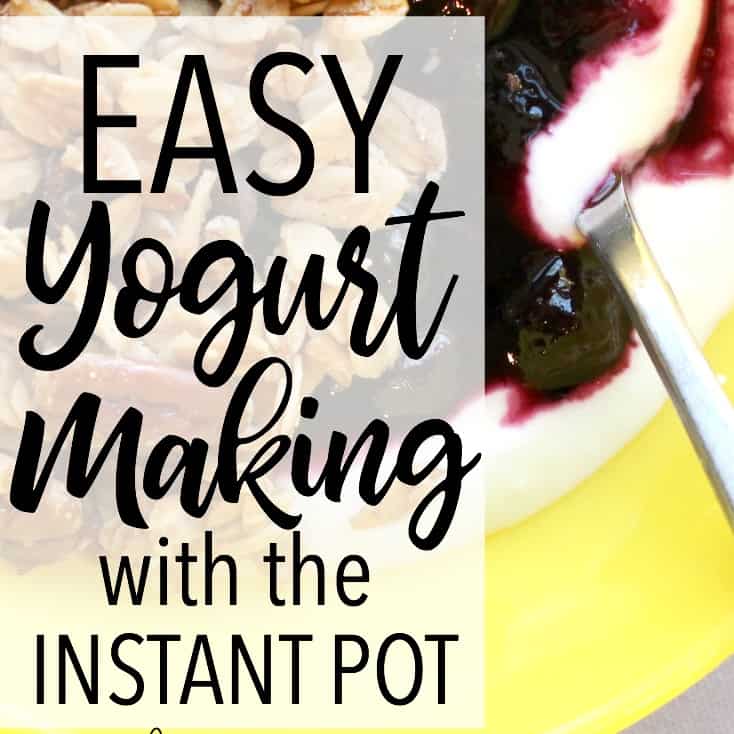 How to Make Yogurt (With or Without an Instant Pot!)