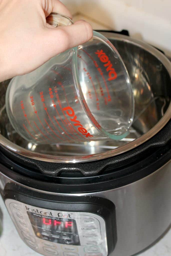 How To Reheat Food In Electric Pressure Cooker XL