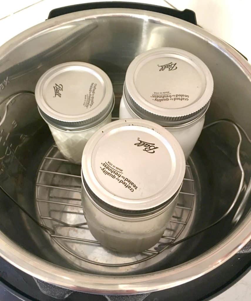 Homemade yogurt best sale pressure cooker