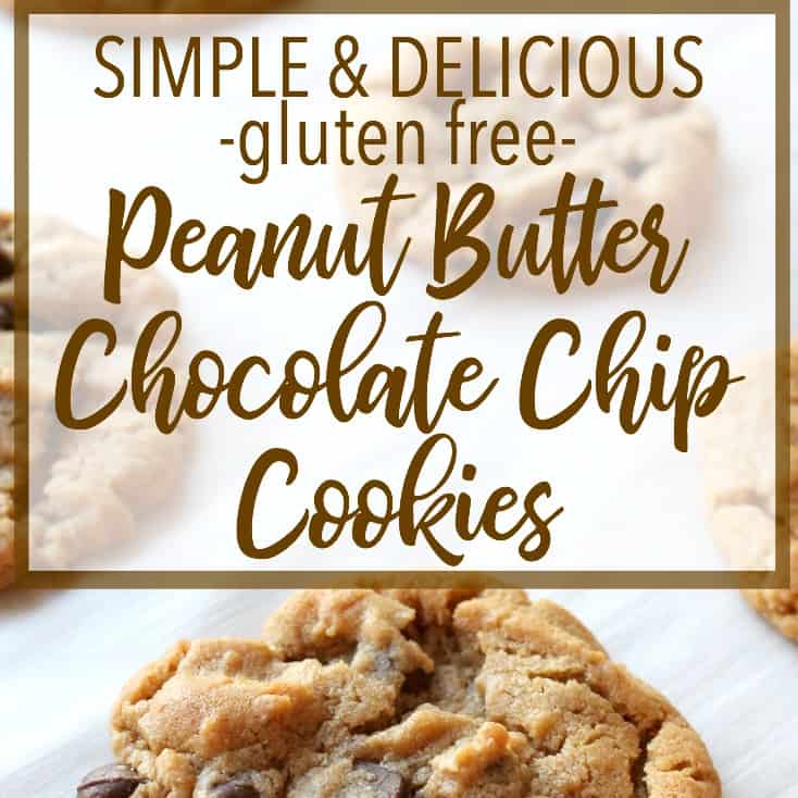 The Best Quick and Easy Peanut Butter Chocolate Chip Cookies