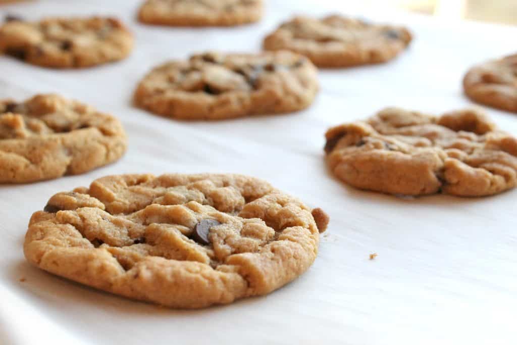 These gluten free peanut butter chocolate chip cookies are super simple and use pantry staples. They are soft baked and absolutely delicious! Gluten Free Cookies | Easy Cookie Recipes | Peanut Butter Cookies