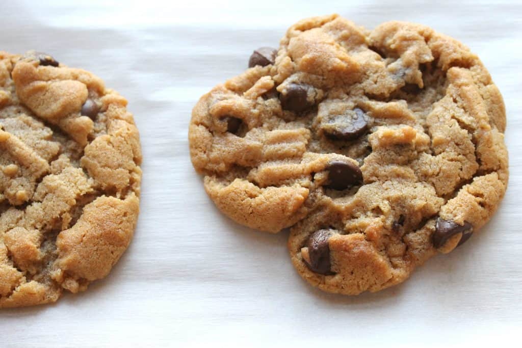 These gluten free peanut butter chocolate chip cookies are super simple and use pantry staples. They are soft baked and absolutely delicious! Gluten Free Cookies | Easy Cookie Recipes | Peanut Butter Cookies