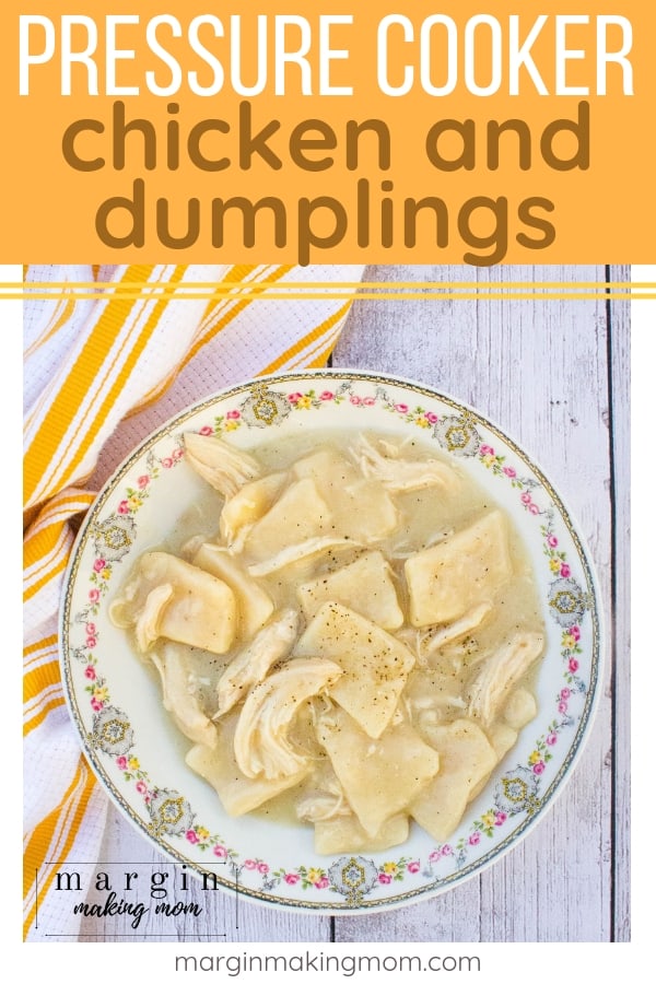 Instant Pot Chicken and Dumplings