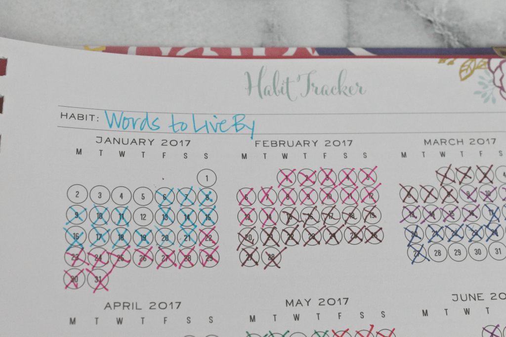 Track your habits with the Brilliant Life Planner's Habit Tracker!