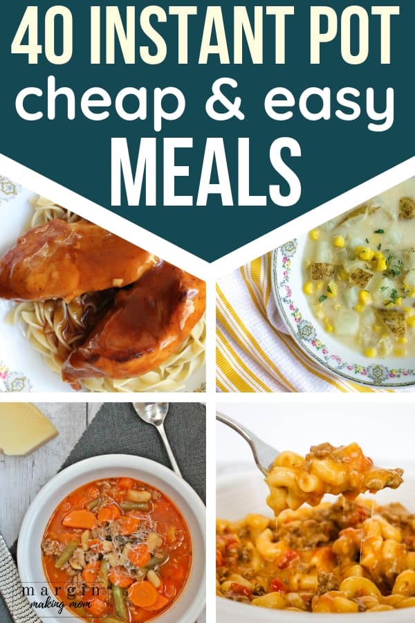 80+ of the Best Easy and Cheap Instant Pot Recipes for Dinner Margin