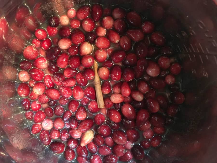 insert pot of an instant pot filled with cranberries, water, orange juice, sugar, a cinnamon stick, and ground cloves