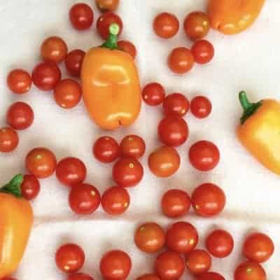 Roasted Pepper and Cherry Tomato Sauce