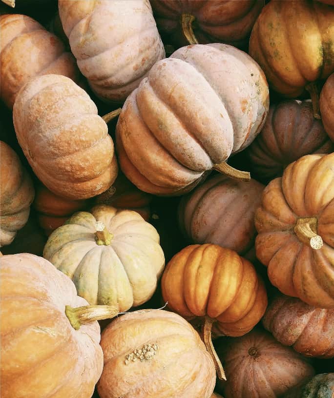 stack of pumpkins