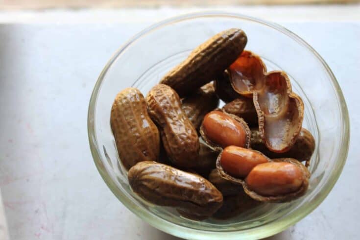 Instant Pot Boiled Peanuts