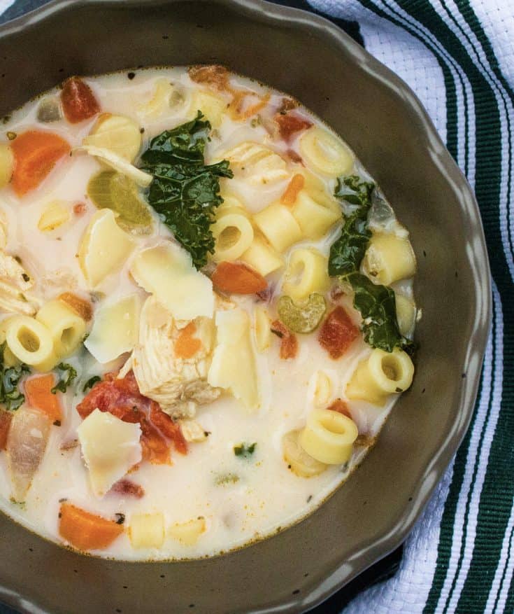 Instant Pot Italian chicken soup