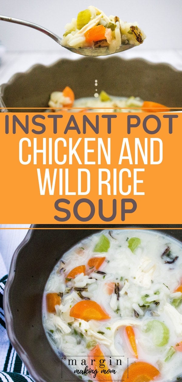 bowl of Instant Pot chicken and wild rice soup