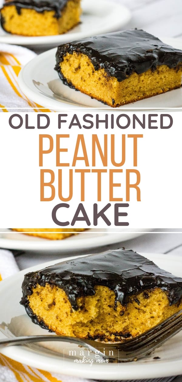 Old Fashioned Peanut Butter Cake with Dark Chocolate Frosting Margin