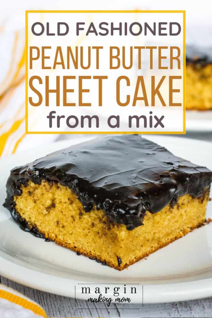 Old Fashioned Peanut Butter Cake With Dark Chocolate Frosting Margin Making Mom