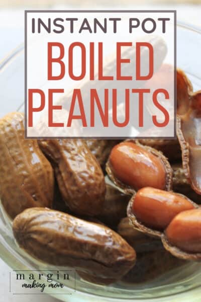 How to Make Instant Pot Boiled Peanuts - Margin Making Mom