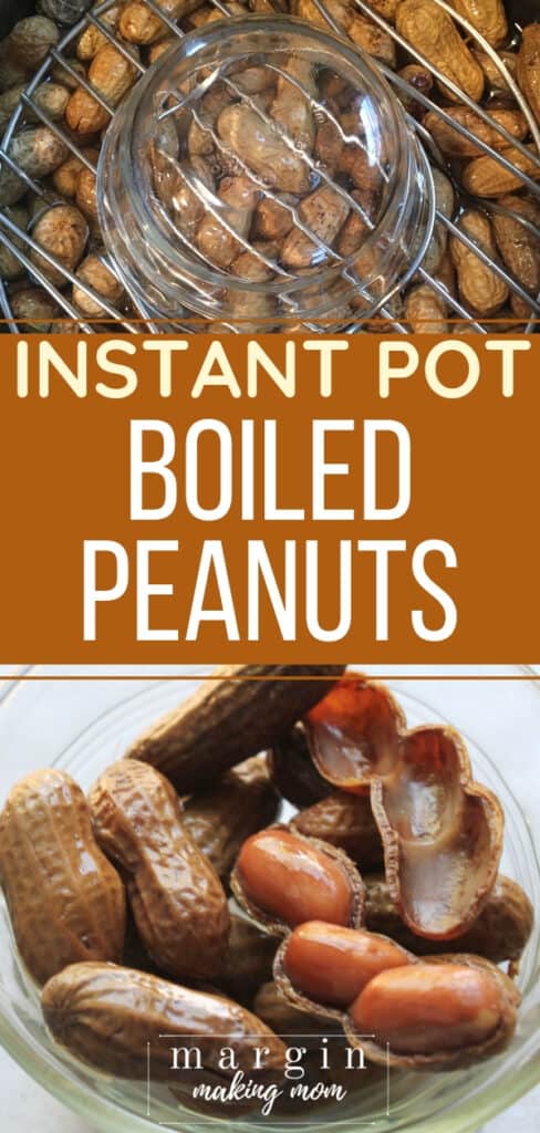 boiled peanuts in an Instant Pot pressure cooker