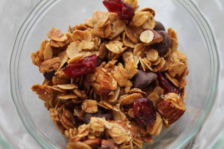 Easy Chocolate Cranberry Granola