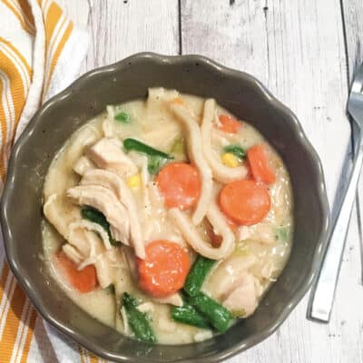 Instant Pot Chicken and Dumplings with Noodles