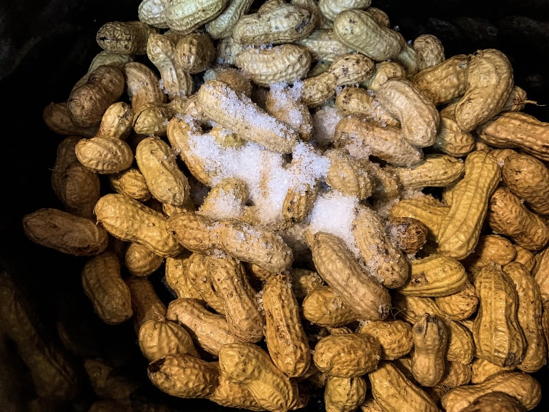 raw peanuts topped with coarse sea salt in a crockpot slow cooker