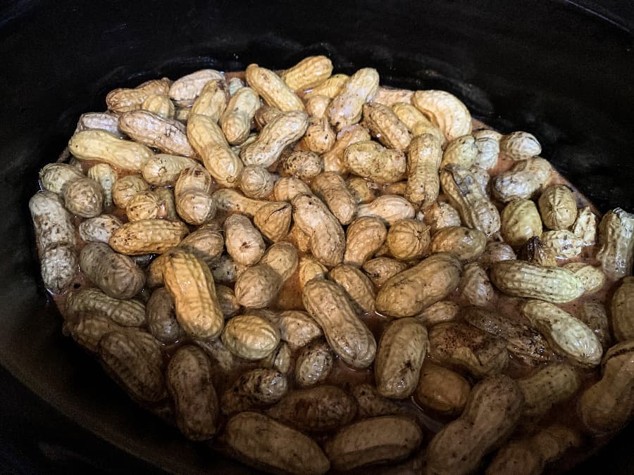 raw peanuts and Cajun seasonings in a slow cooker