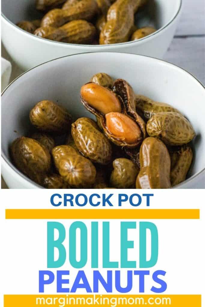 two white bowls filled with boiled peanuts that were cooked in the Crockpot