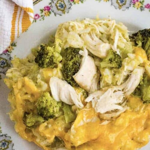 china plate of chicken, broccoli, and rice that was cooked in the Instant Pot