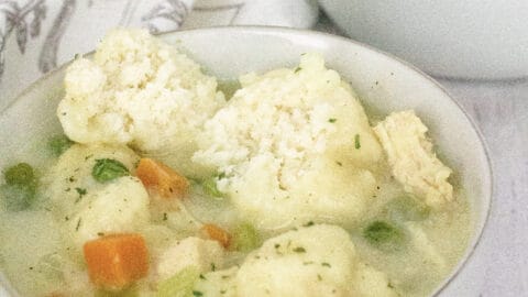 Instant pot chicken and dumplings using bisquick sale