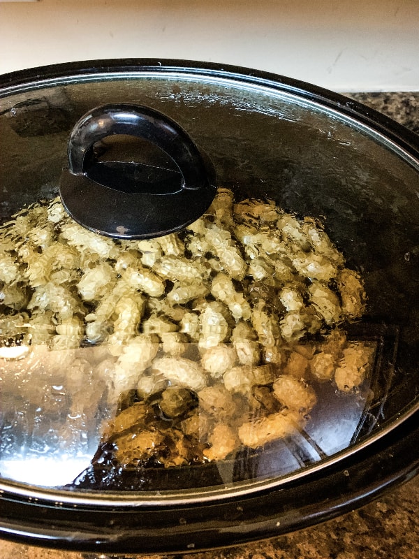 peanuts boiling in a slow cooker