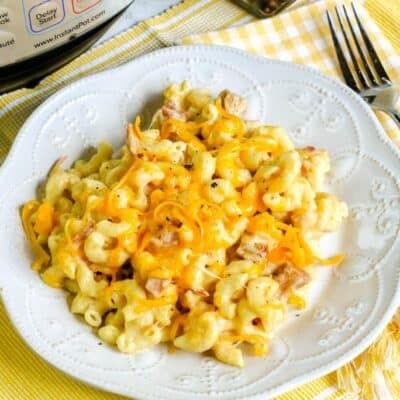 white plate with a serving of macaroni and cheese with ham on it, in front of an Instant Pot