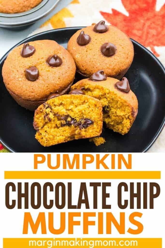 black plate with pumpkin chocolate chip muffins on it