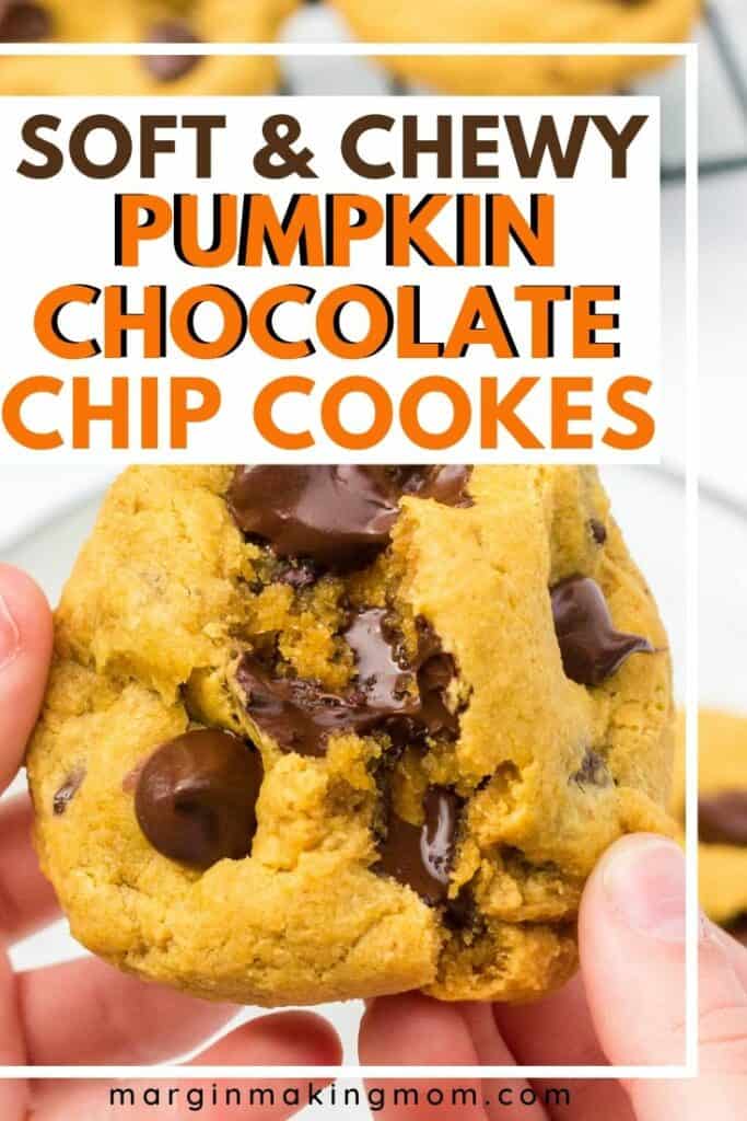 two hands pulling apart a warm pumpkin chocolate chip cookie