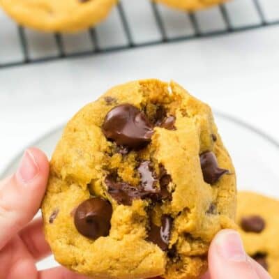 Soft and Chewy Pumpkin Chocolate Chip Cookies