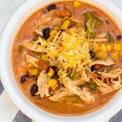 Instant Pot Chicken Taco Soup – An Easy Dump and Start Recipe