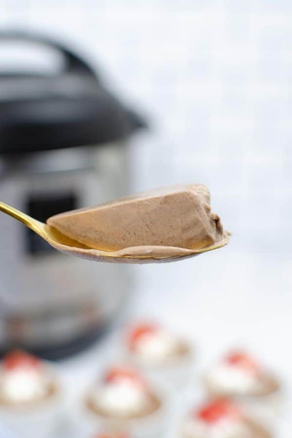a spoonful of rich and creamy Instant Pot chocolate custard