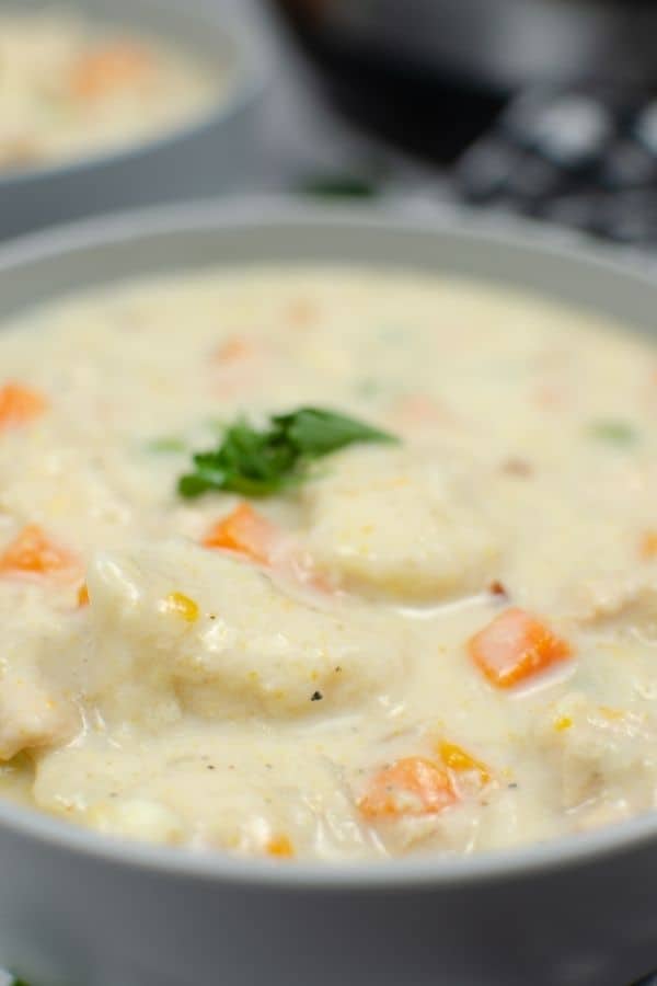 close-up view of Instant Pot chicken and dumplings made with biscuit dough