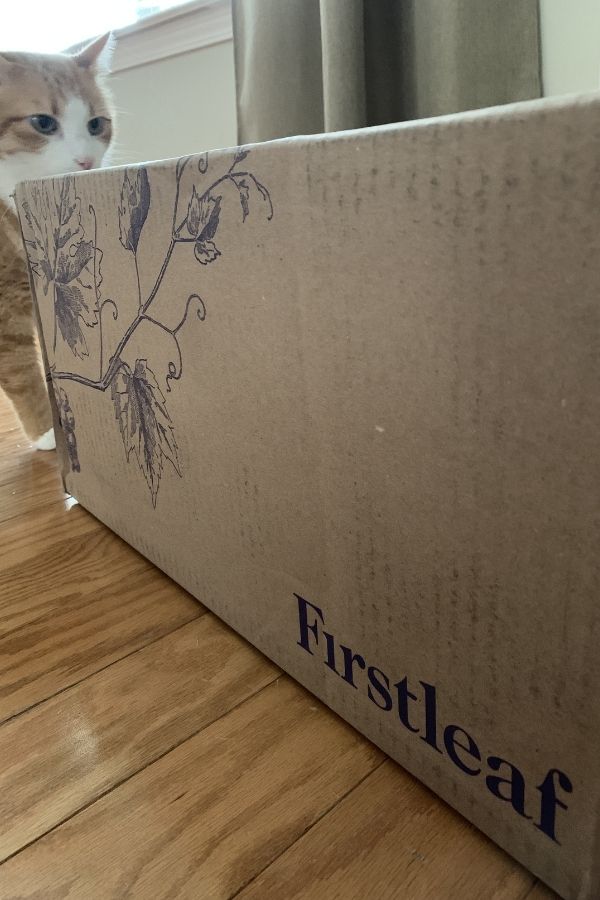 firstleaf wine box with a cat sniffing it