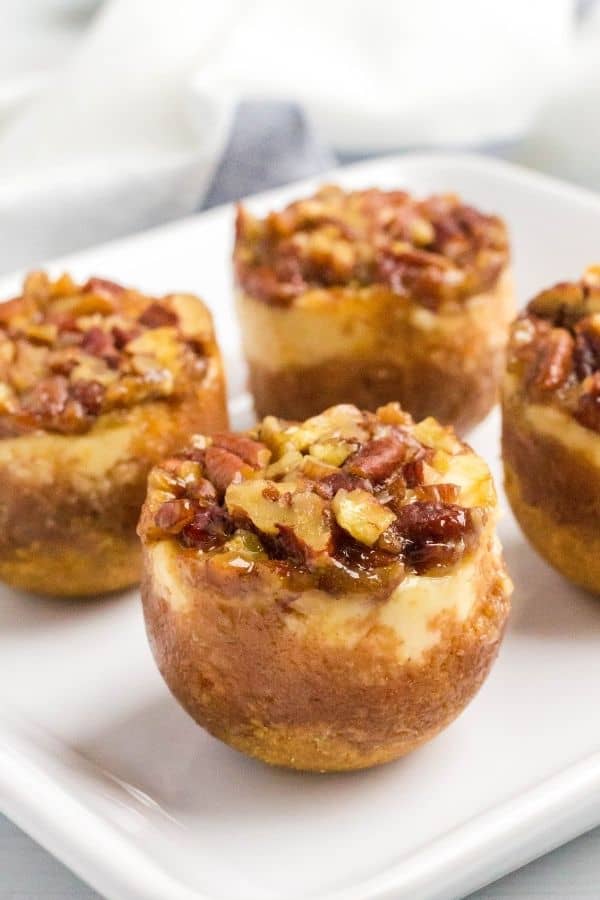 side view of the pressure cooker pecan pie cheesecake bites, showing the graham cracker crust, cheesecake filling, and pecan pie topping