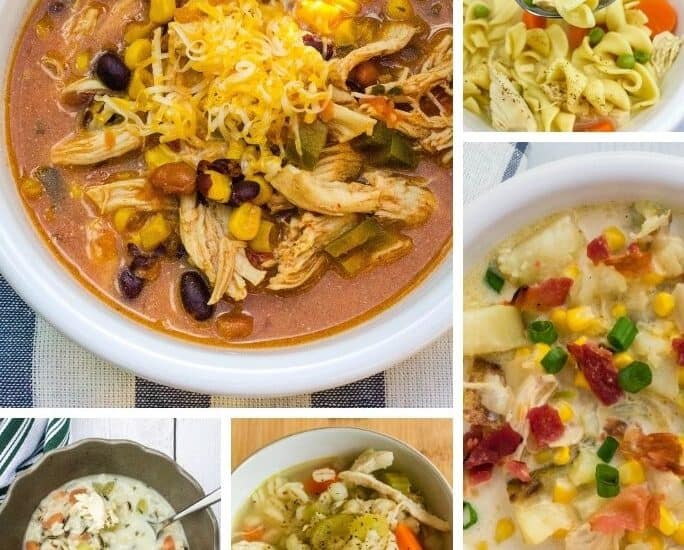 collage image of various Instant Pot chicken soups prepared and served
