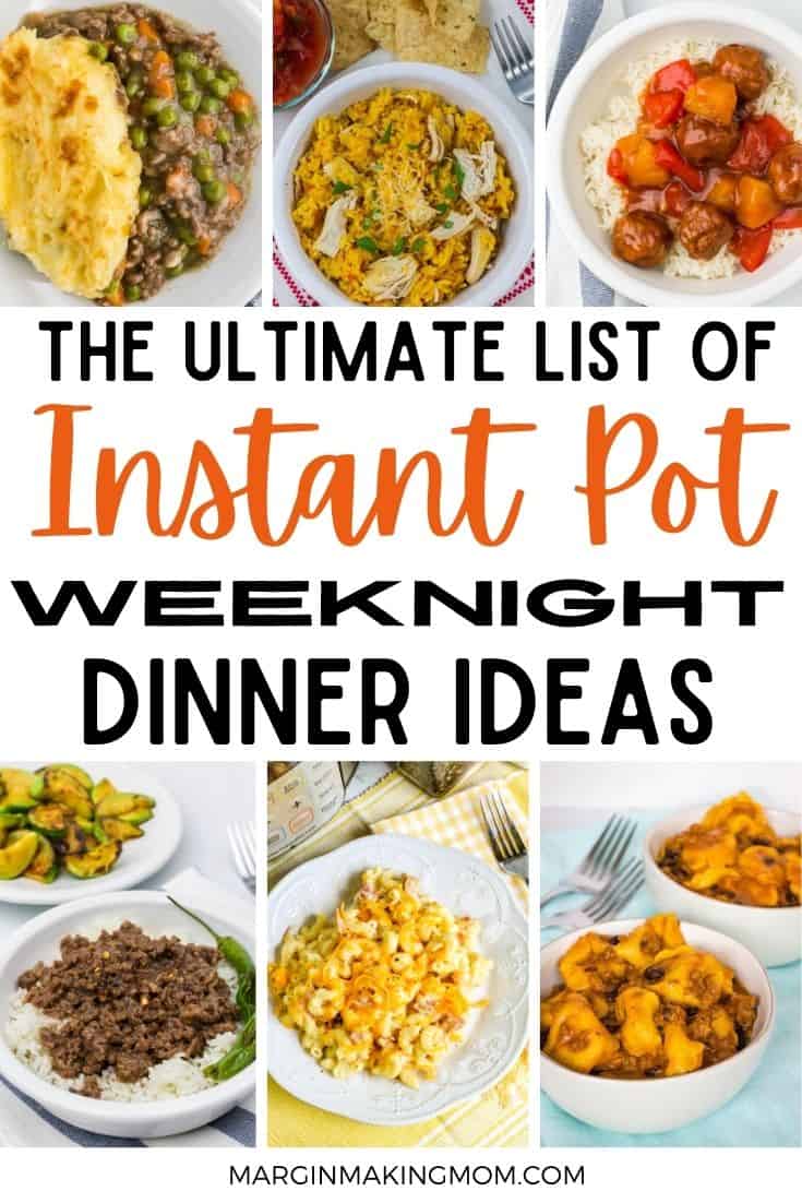 45+ BEST Instant Pot Recipes - Tastes Better From Scratch