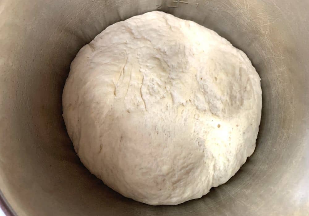 naan dough doubled in size
