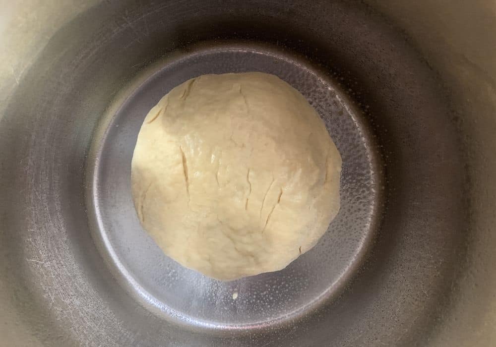 naan dough rising in the instant pot