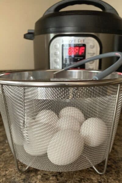 mesh steamer basket in front of an Instant Pot pressure cooker