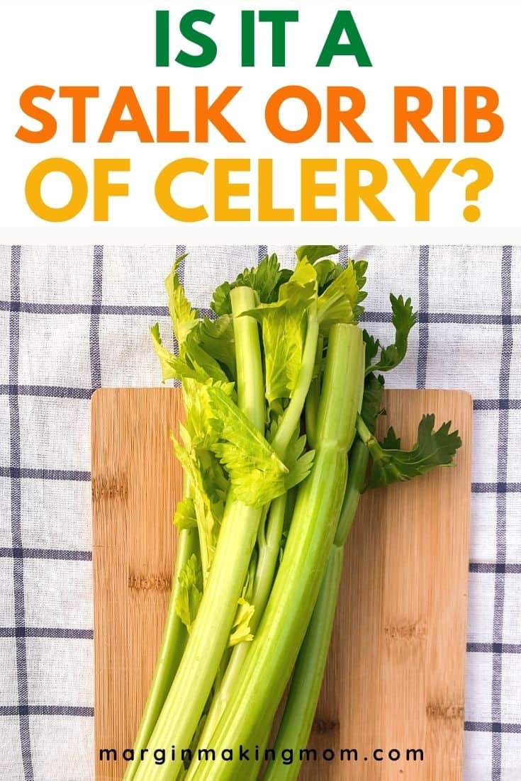 a stalk of celery (also known as a bunch of celery) on a cutting board over a blue and white checked cloth