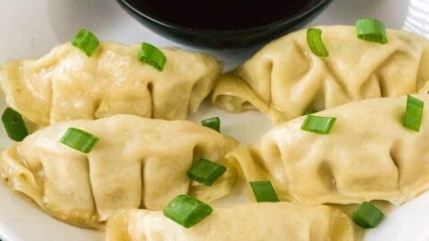 Instant pot frozen online dumplings