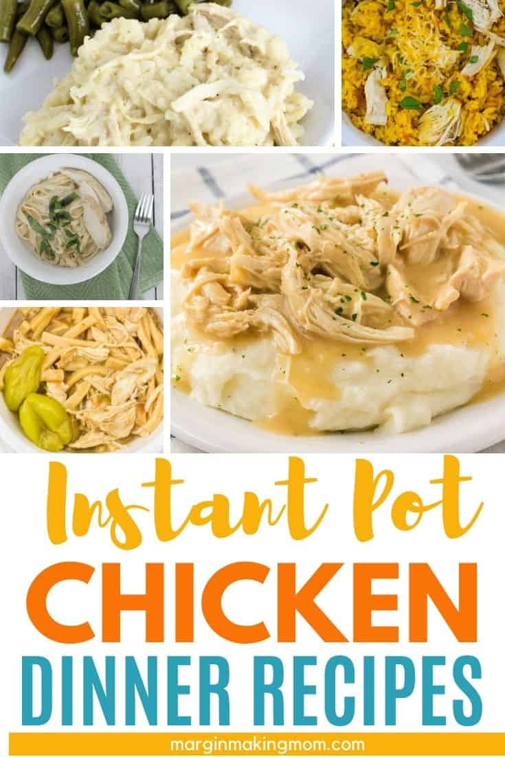 Cheap Instant Pot Recipes For Families