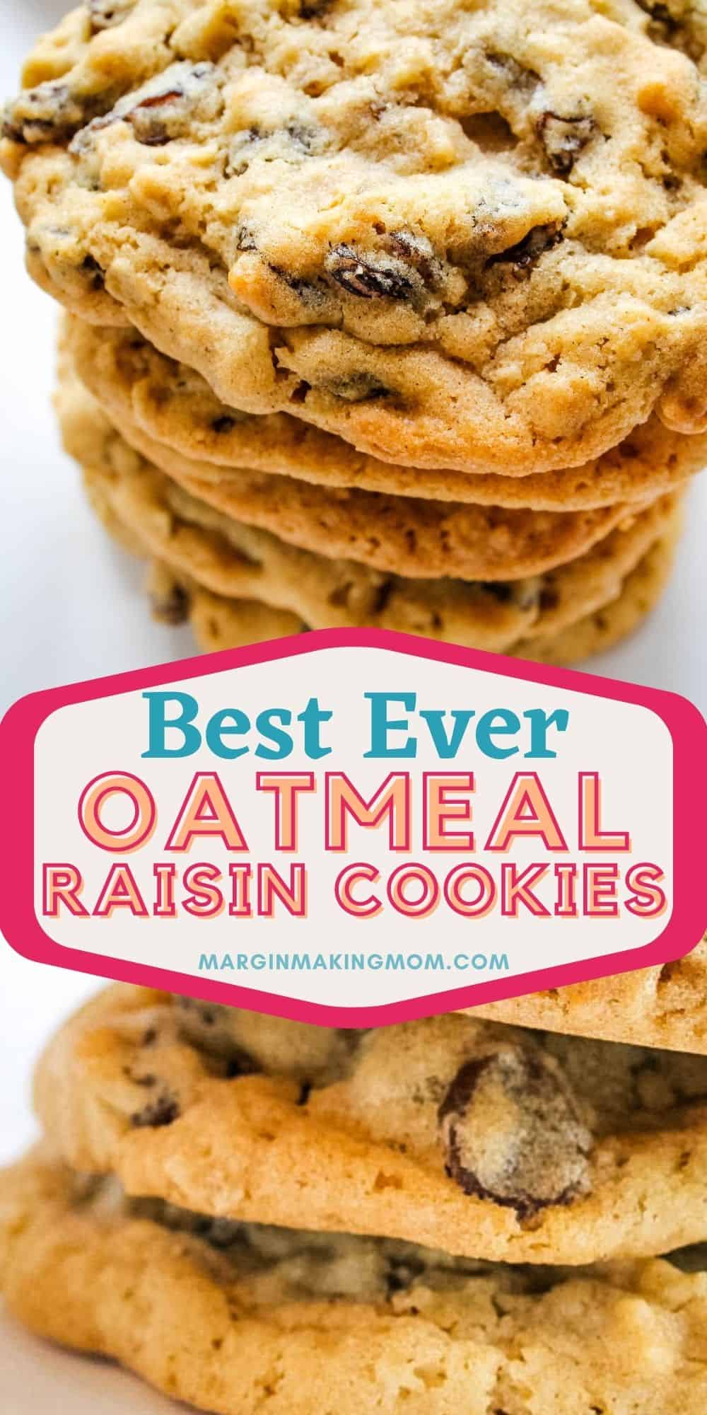 Classic Cookie Soft Baked Oatmeal Raisin Cookies